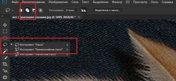 Инструмент Лассо в Adobe Photoshop