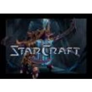 StarCraft II выйдет в первой половине 2010 года