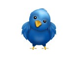 Twitter-for-iPhone-Official-App-is-Live.jpg